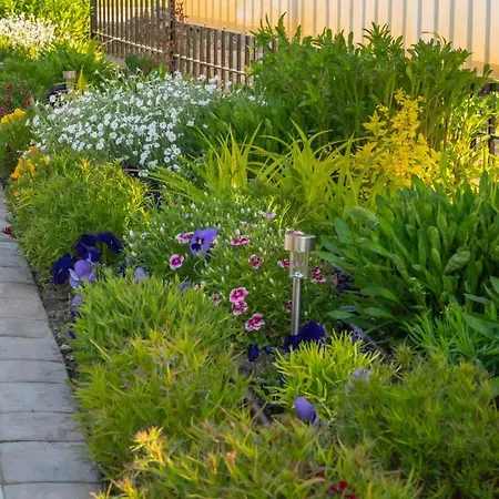 комплекс радост 3*