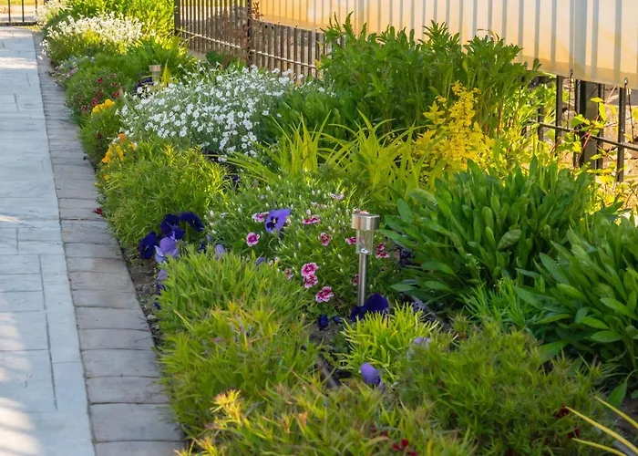 комплекс радост 3*